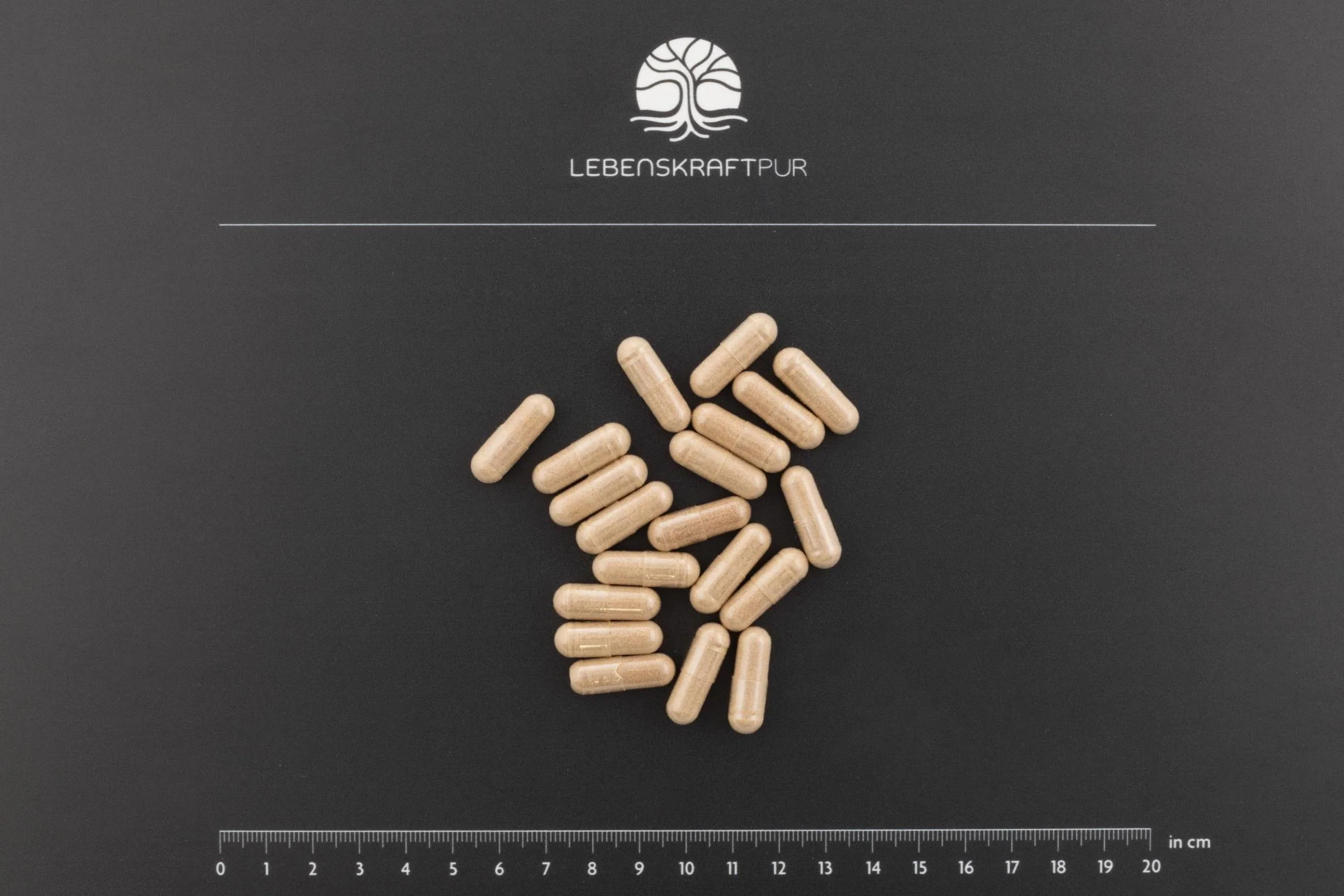 Adaptogen Komplex Kapseln - Image 3