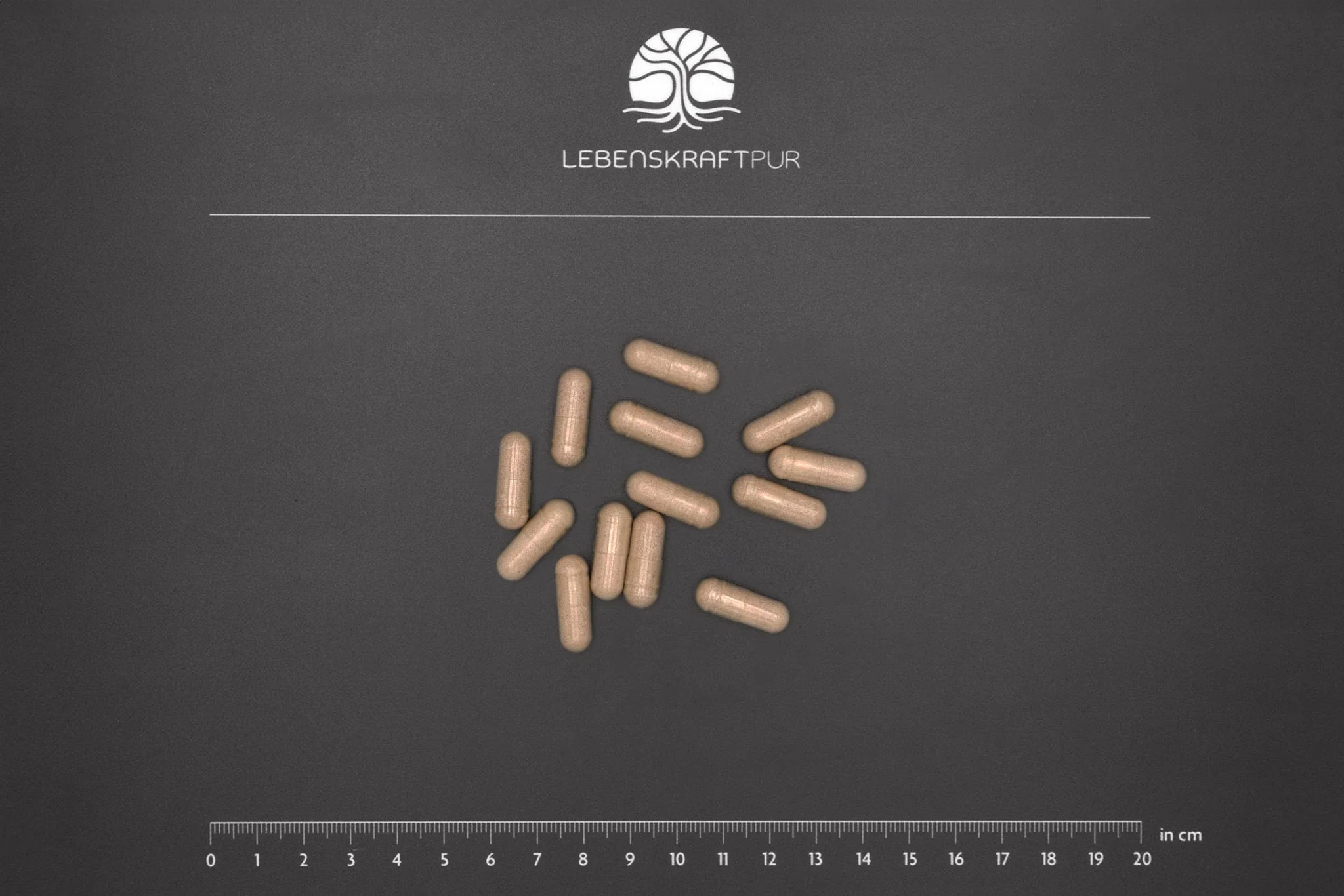 Andro Erekt Formula Kapseln - Image 3