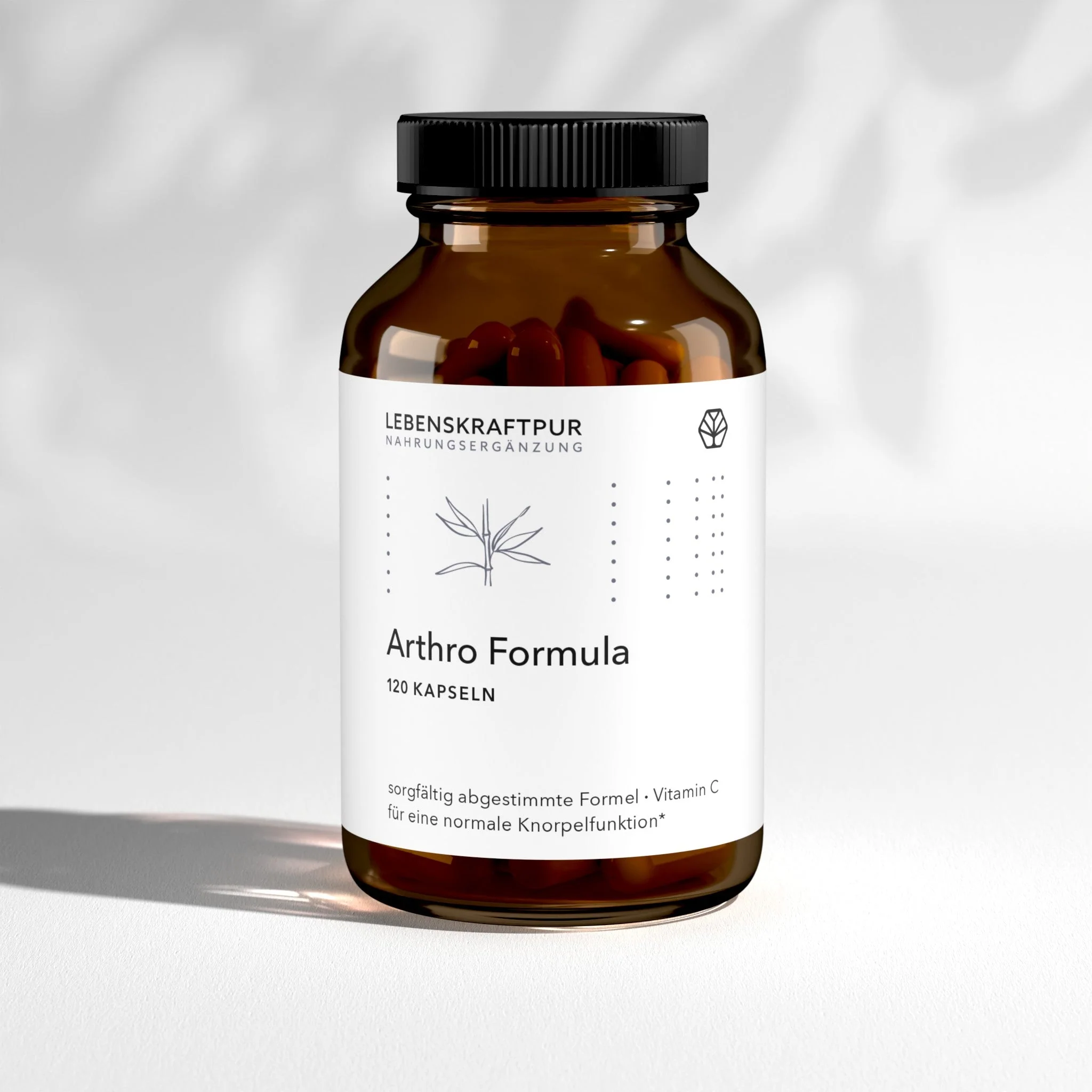 Arthro Formula Kapseln