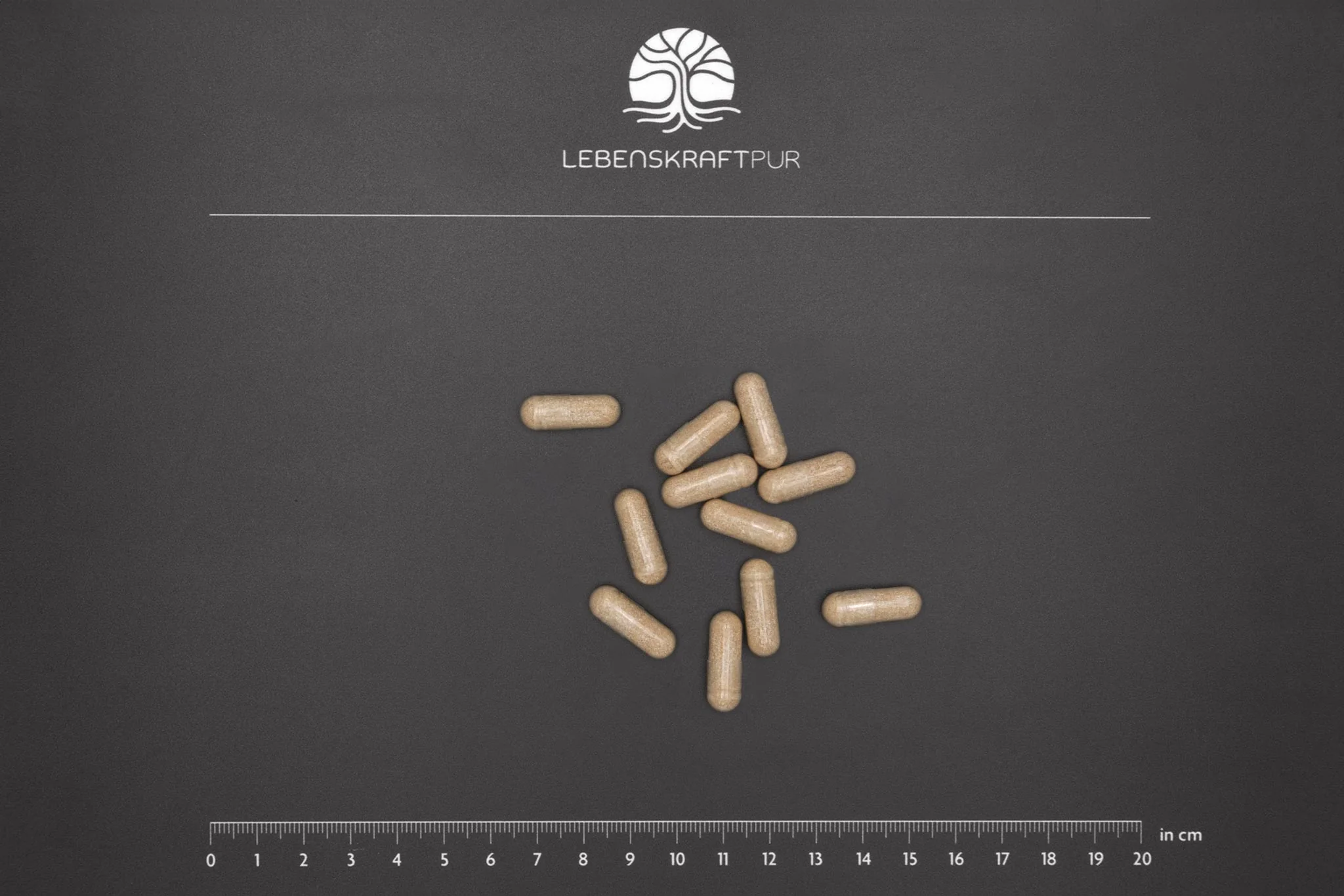 Arthro Formula Kapseln - Image 3