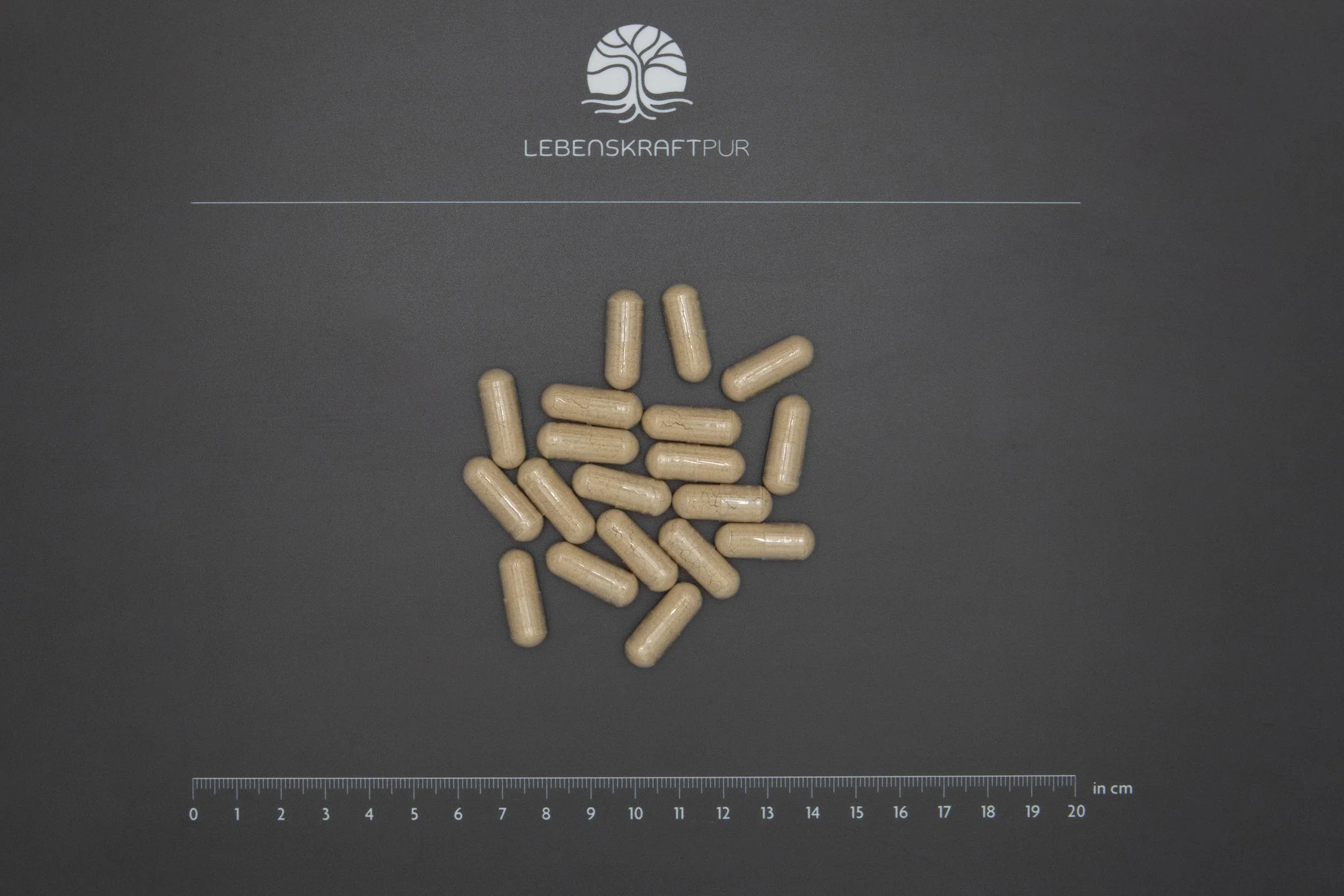 Ashwagandha Vollspektrum-Extrakt Kapseln - Image 3