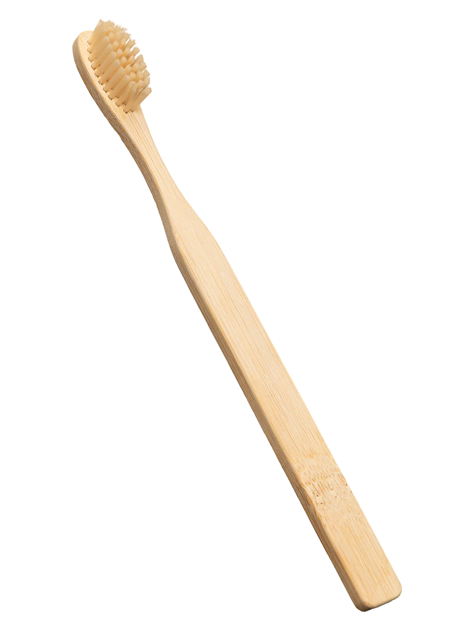 Bambus Zahnbürste - Image 2