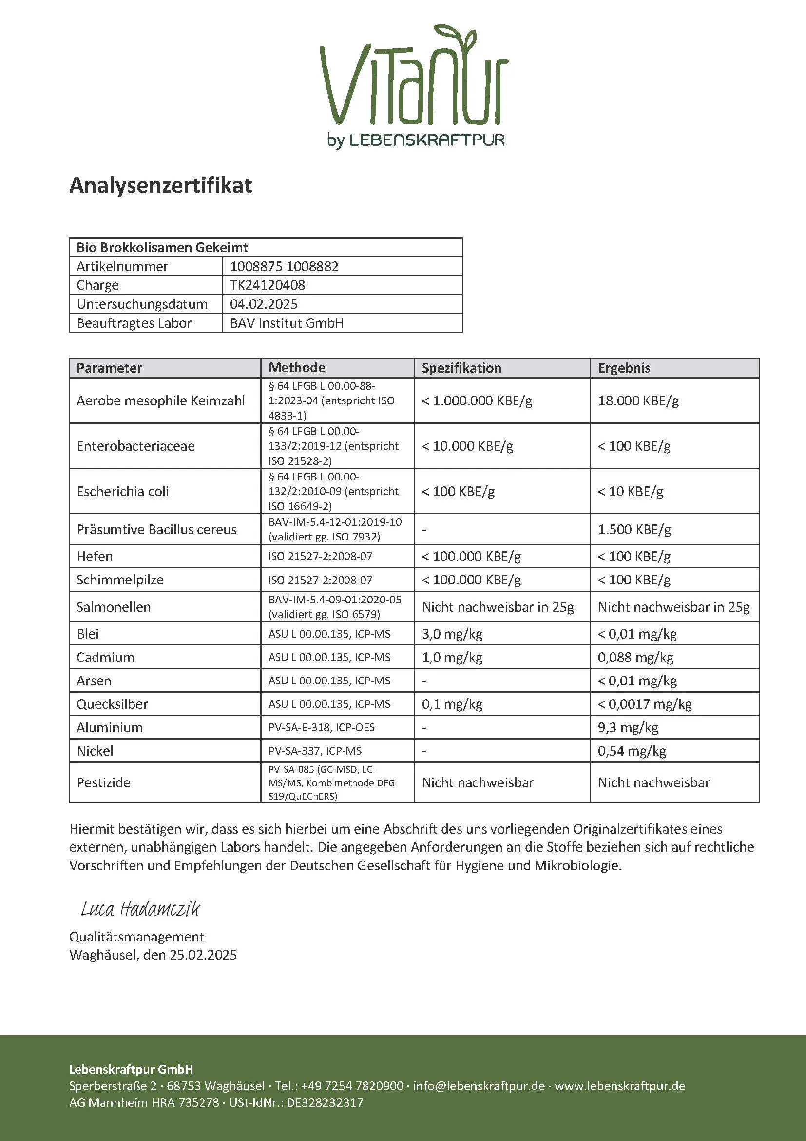 Bio Brokkolisamen Gekeimt - Image 6