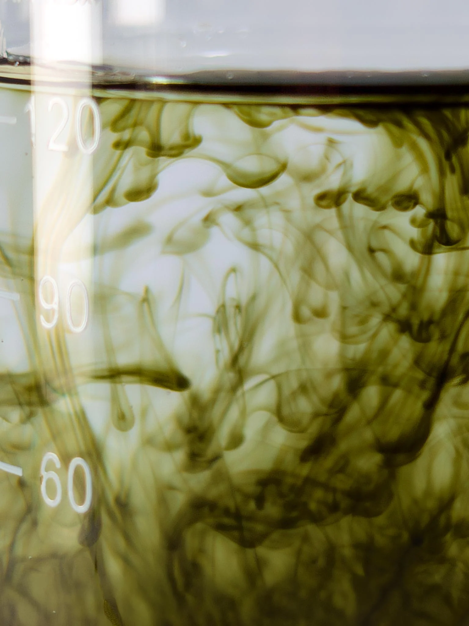 Chlorophyll Tropfen - Image 3