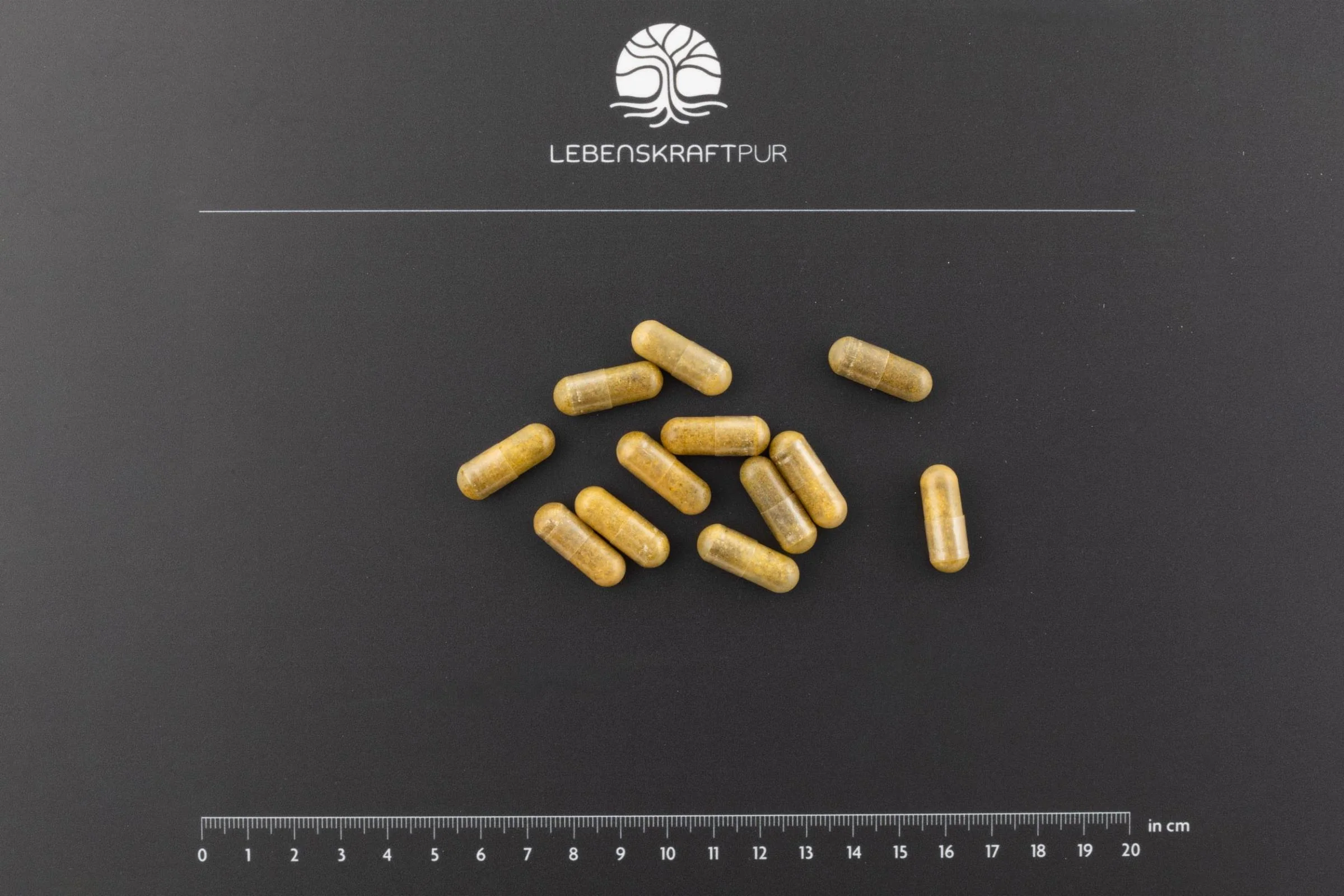 Corpura Komplex Kapseln - Image 3