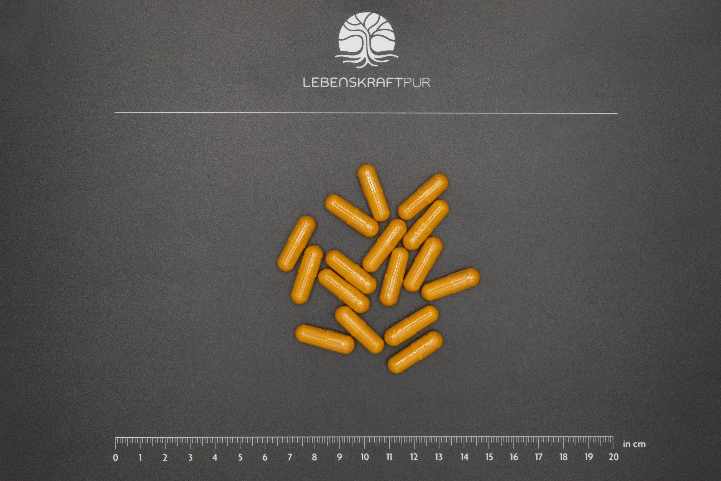 Curcumin Vollspektrum Komplex Kapseln - Image 3