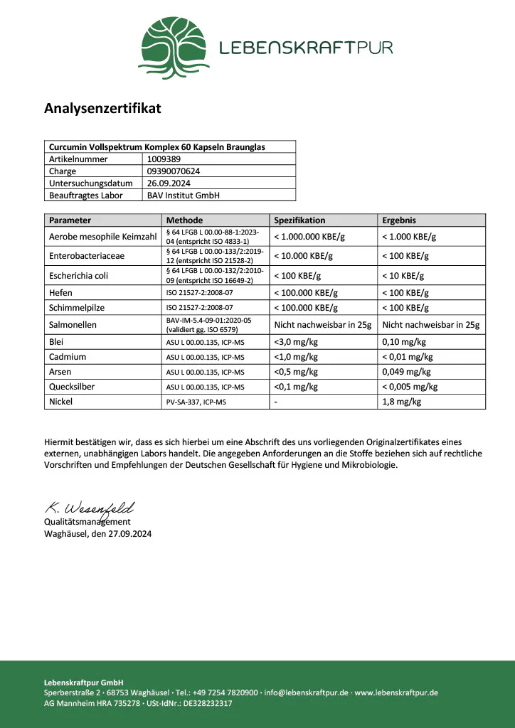 Curcumin Vollspektrum Komplex Kapseln - Image 4
