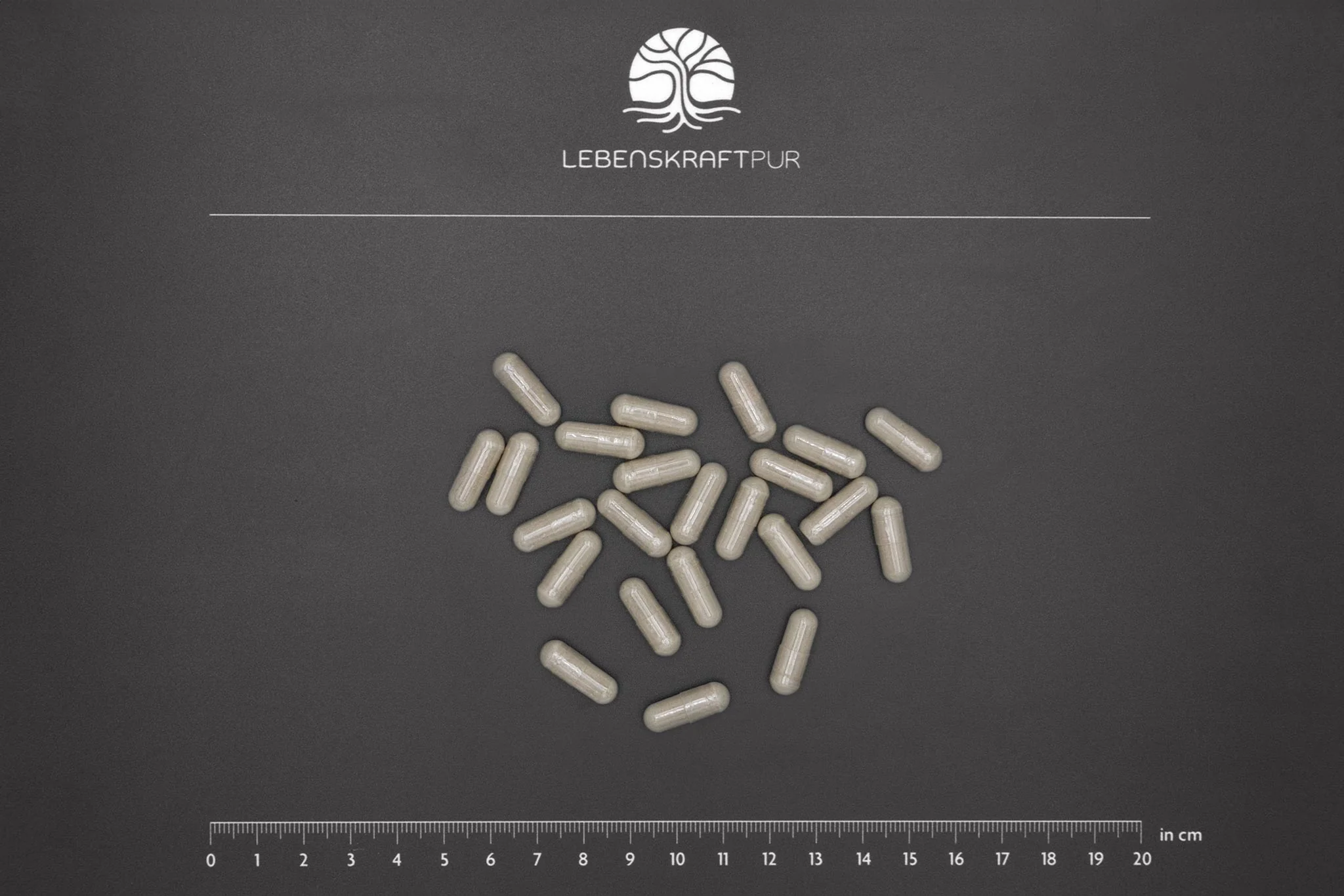 Eisen Plus Kapseln - Image 4