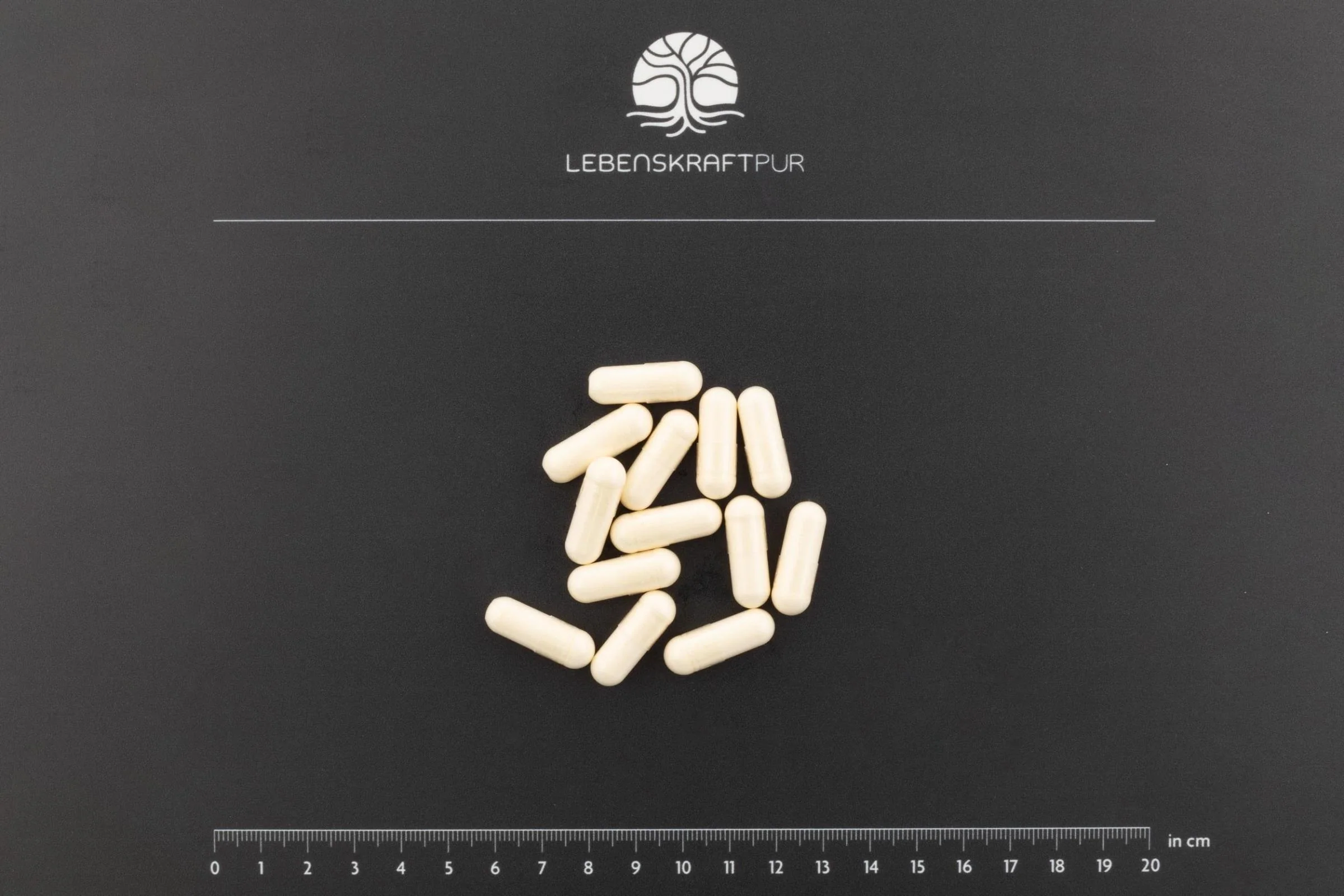 L-Arginin Plus Kapseln - Image 3
