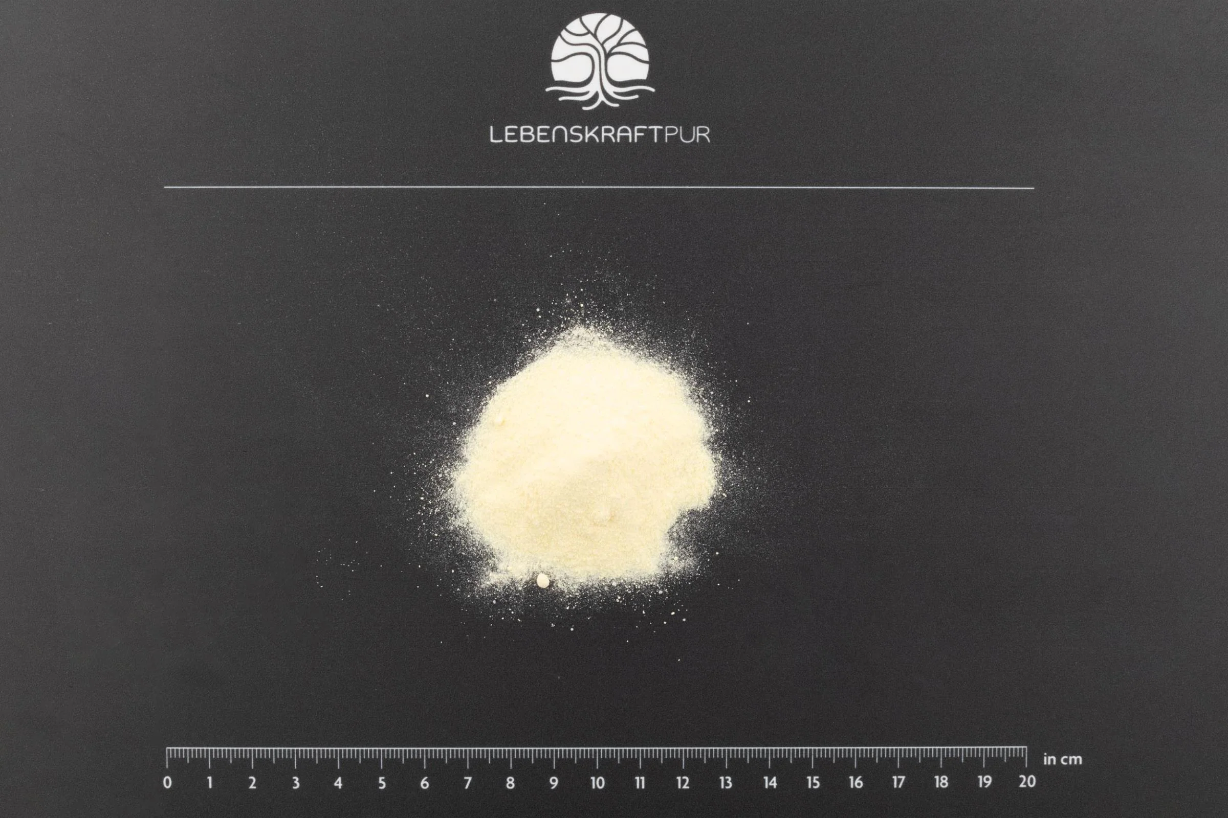 L-Arginin Plus Pulver - Image 3