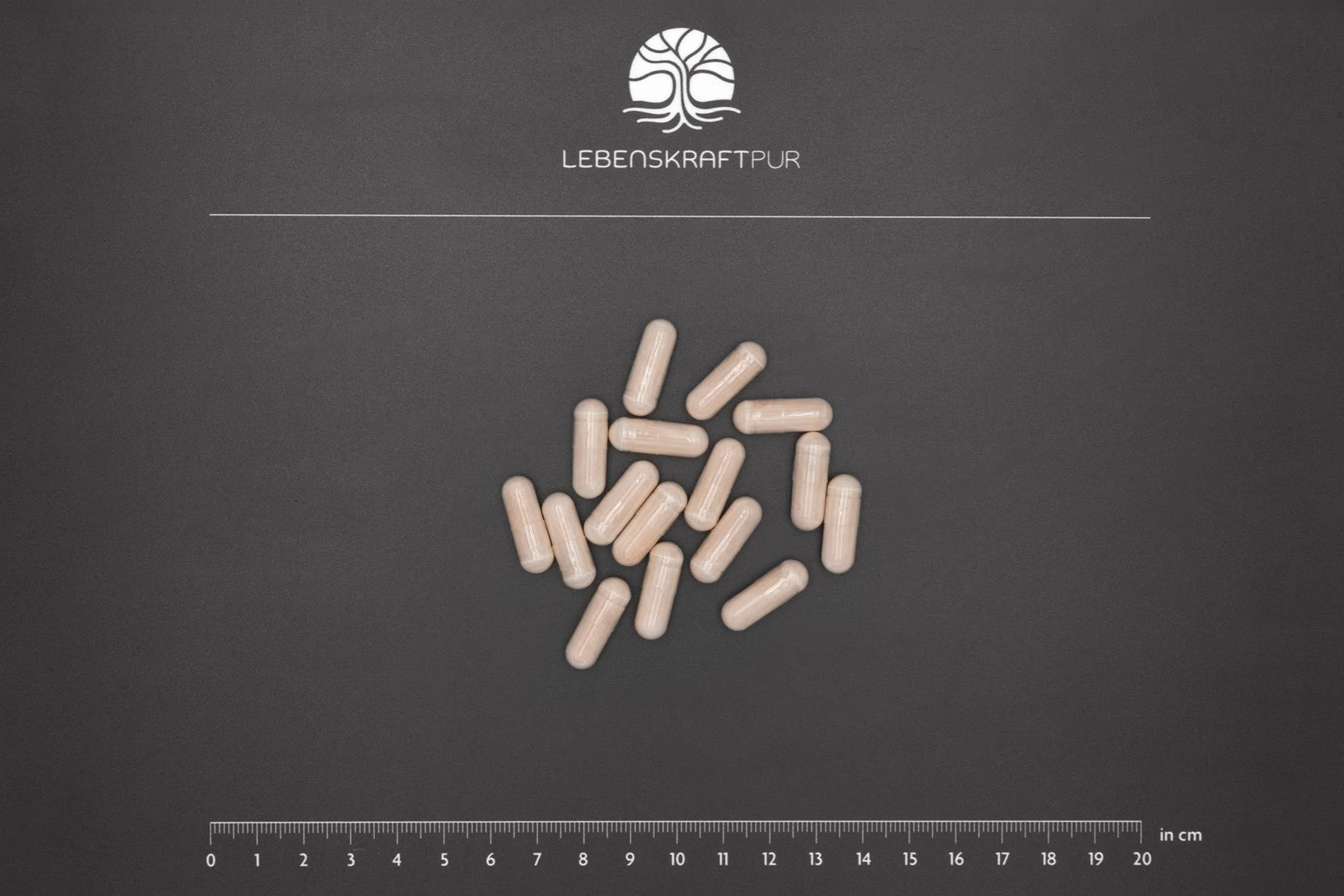 Lactoferrin Kapseln - Image 3