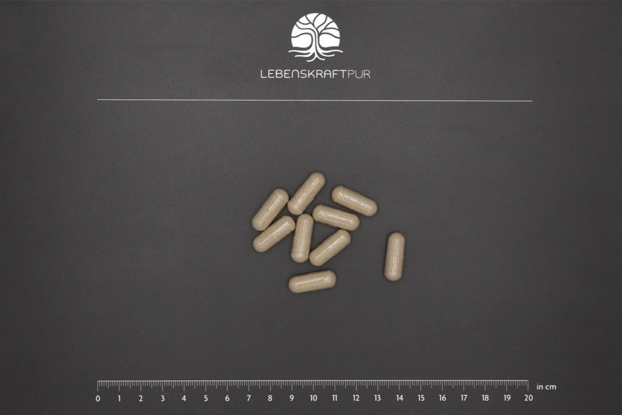 Bio Leber Kapseln - Image 3