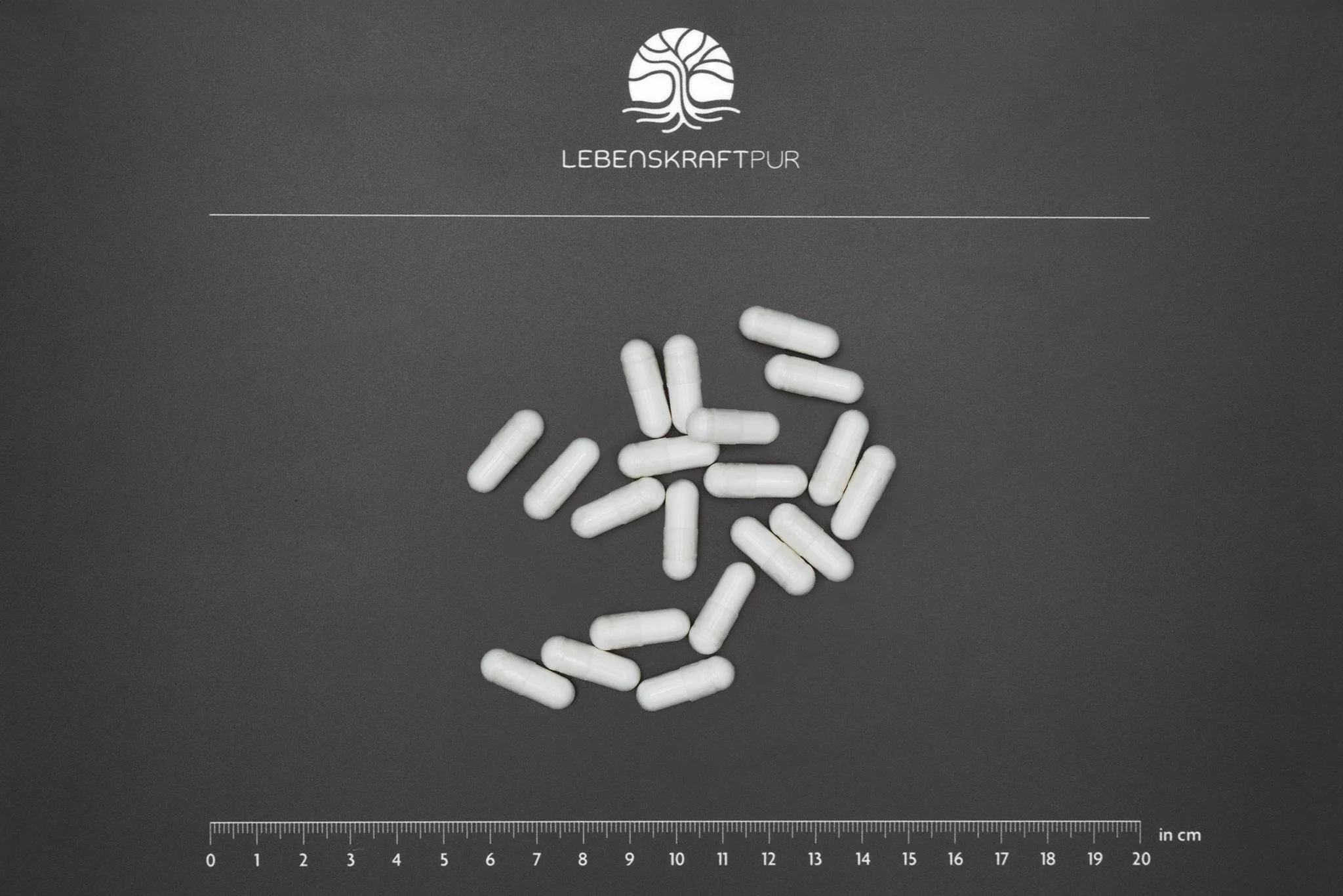 Magtein® Magnesium L-Threonat Kapseln - Image 3