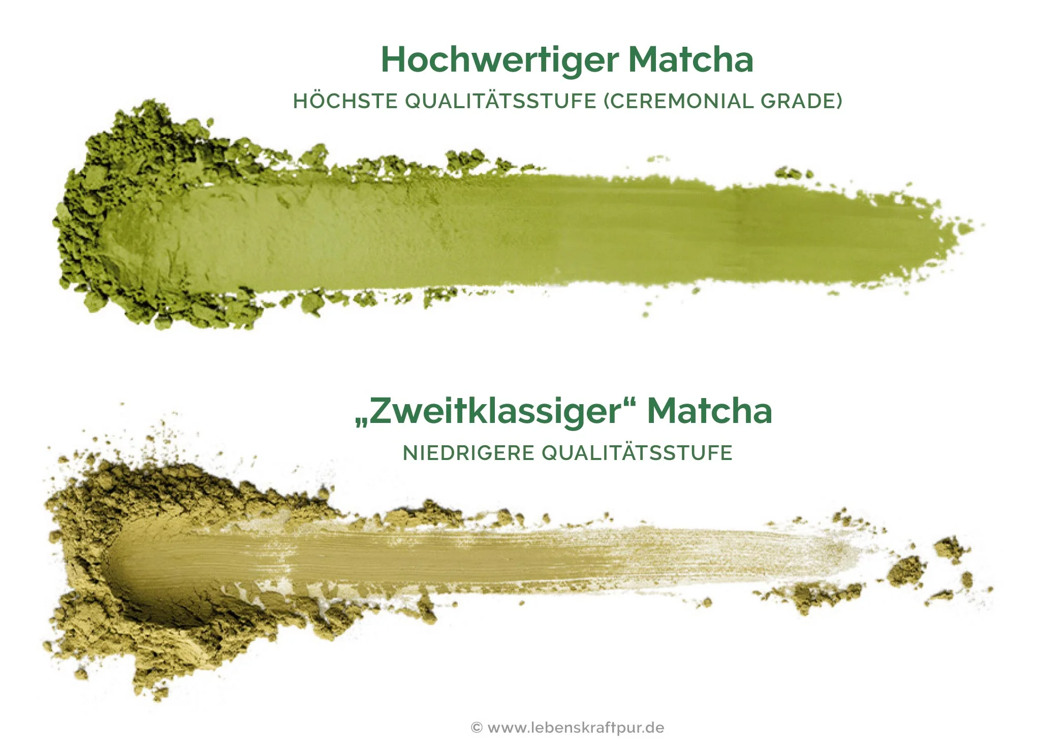 Bio Matcha Pulver - Image 10