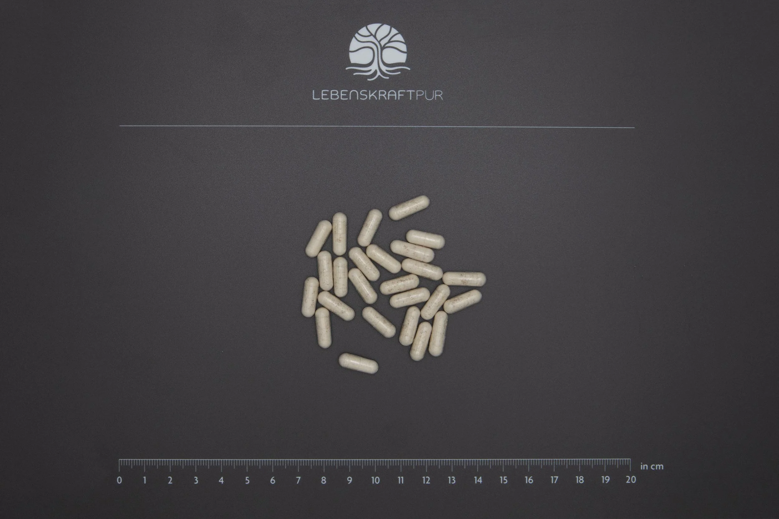 Mikrobiom Sensitiv Forte Kapseln - Image 3