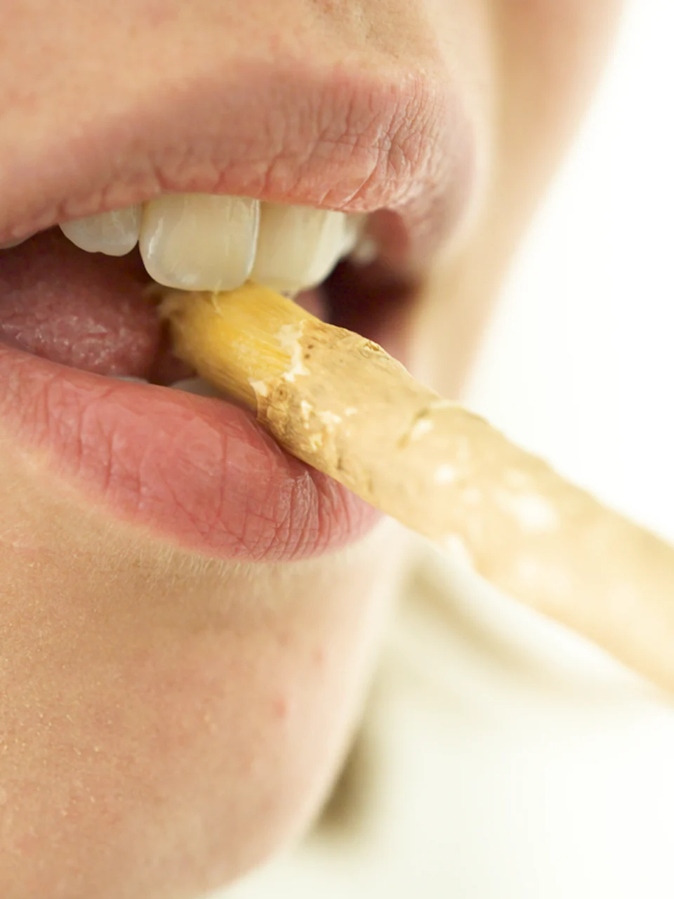 Miswak - Image 4