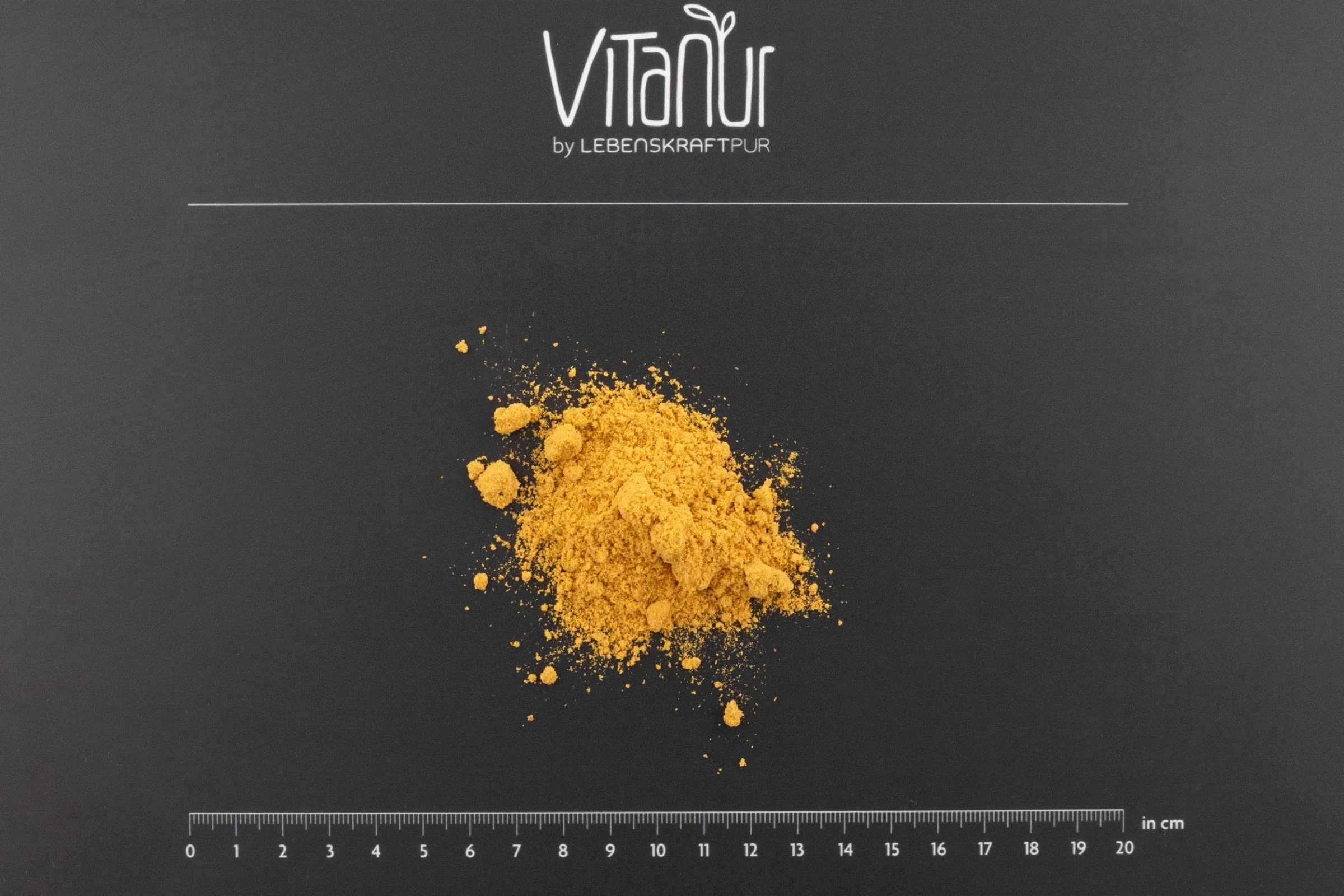 Bio Wilde Moltebeere Pulver - Image 3