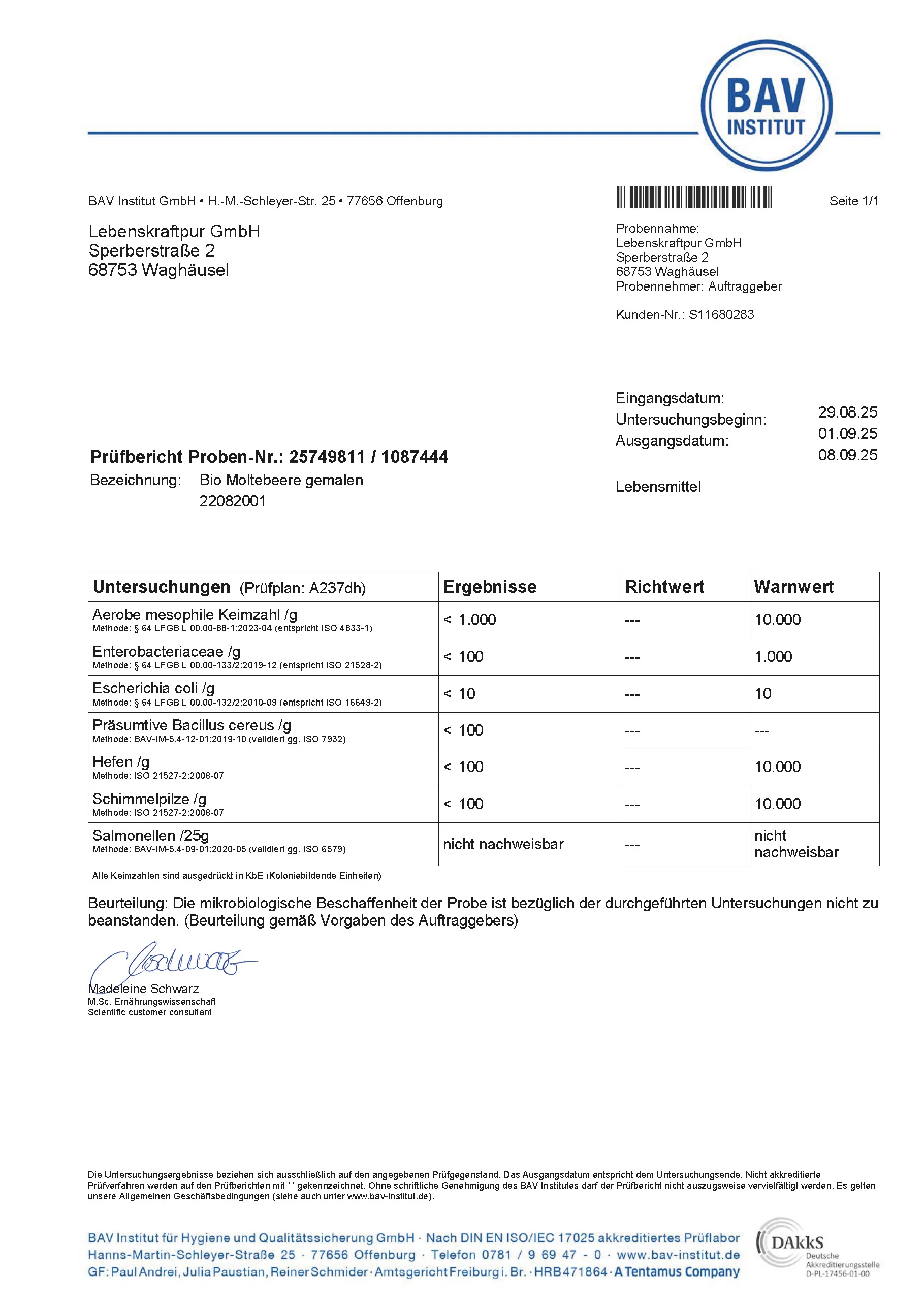 Bio Wilde Moltebeere Pulver - Image 4