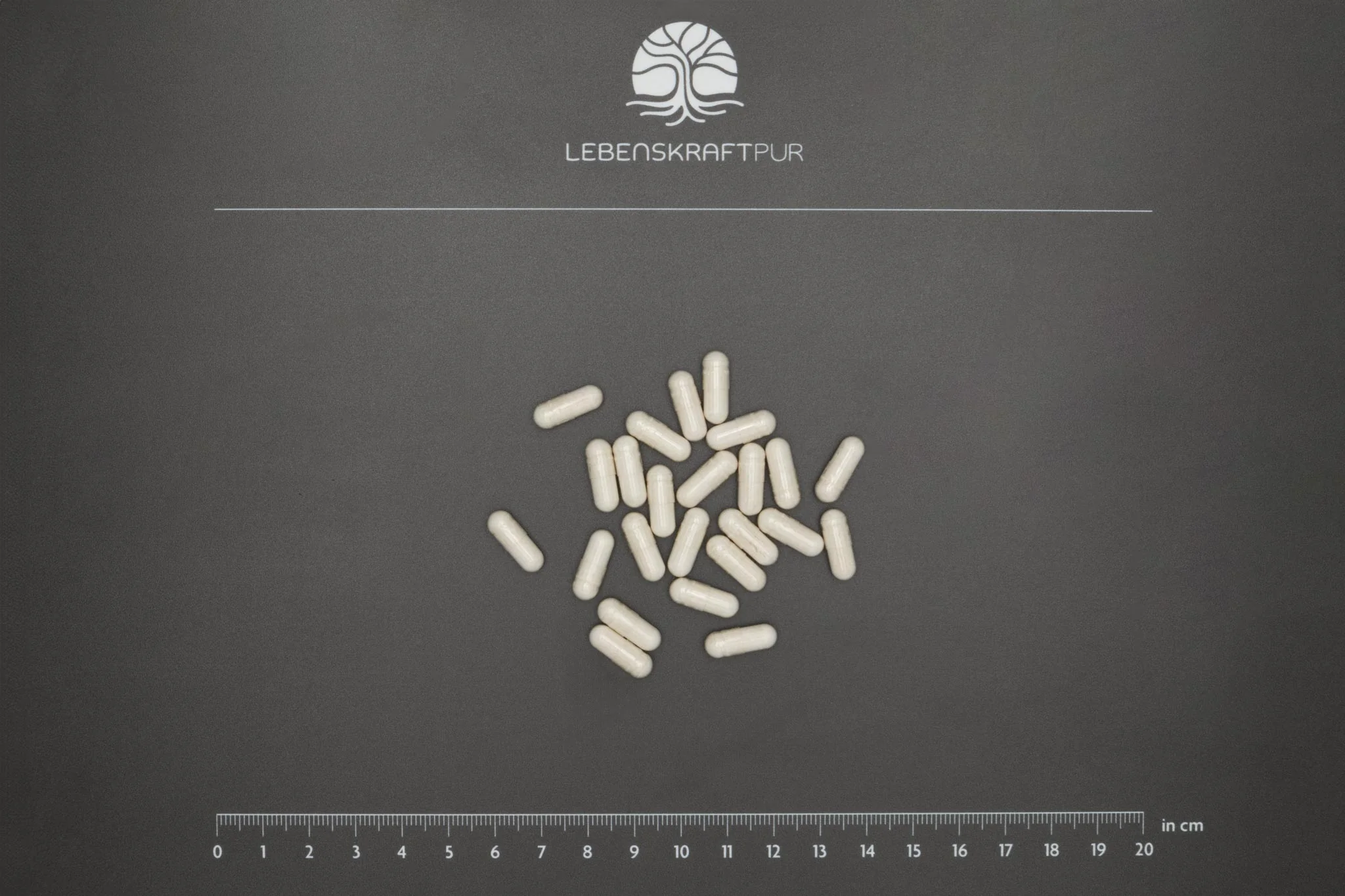 Nattokinase Kapseln - Image 3