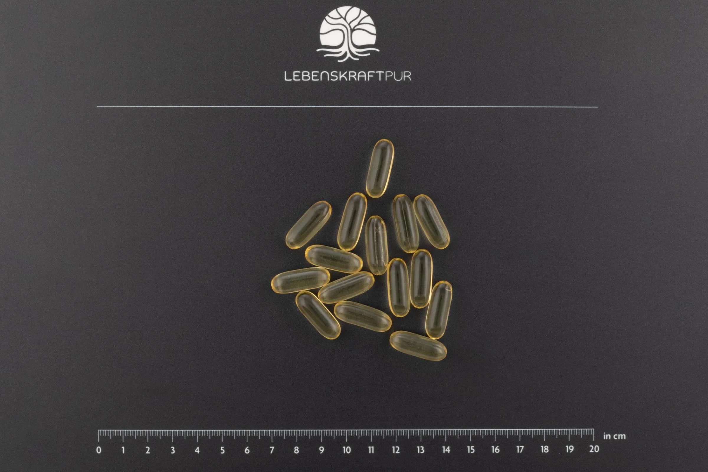 Omega 3 Vegan Kapseln - Image 5