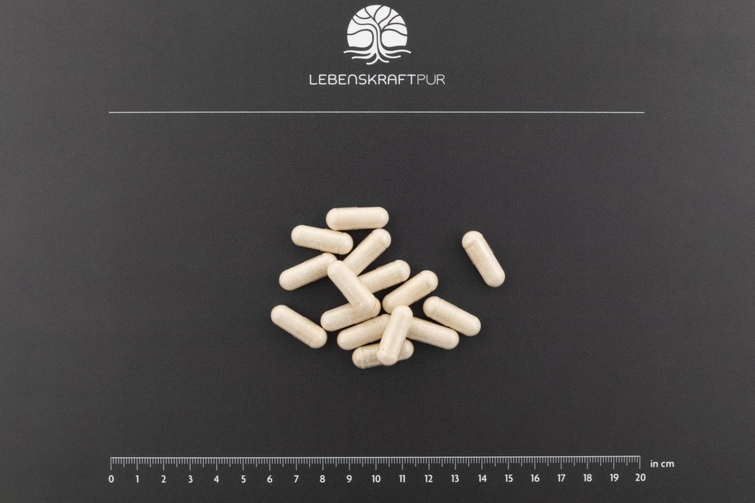 Osteo Formula Kapseln - Image 3