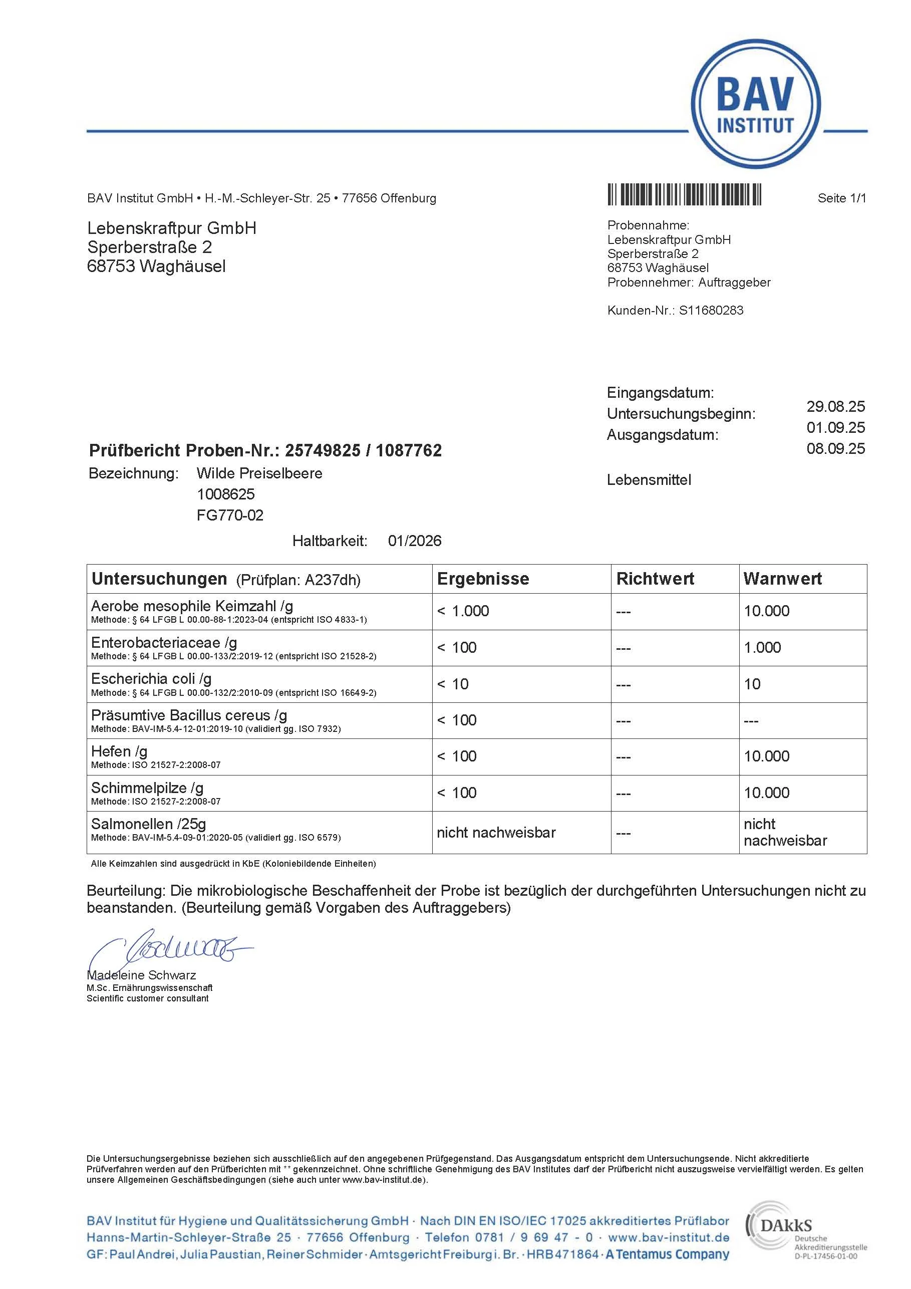 Bio Wilde Preiselbeere Pulver - Image 7