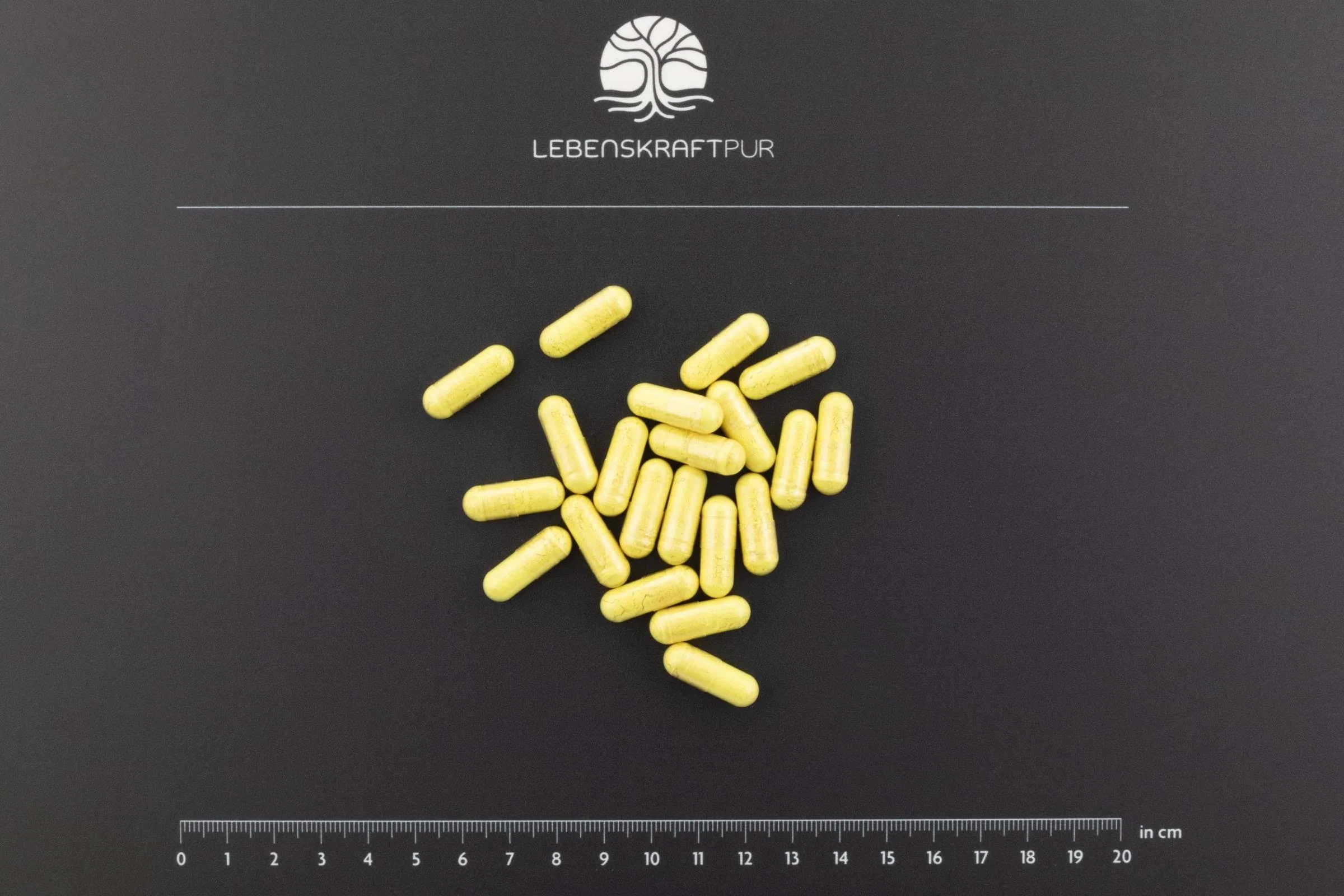 Quercetin Plus Kapseln - Image 3