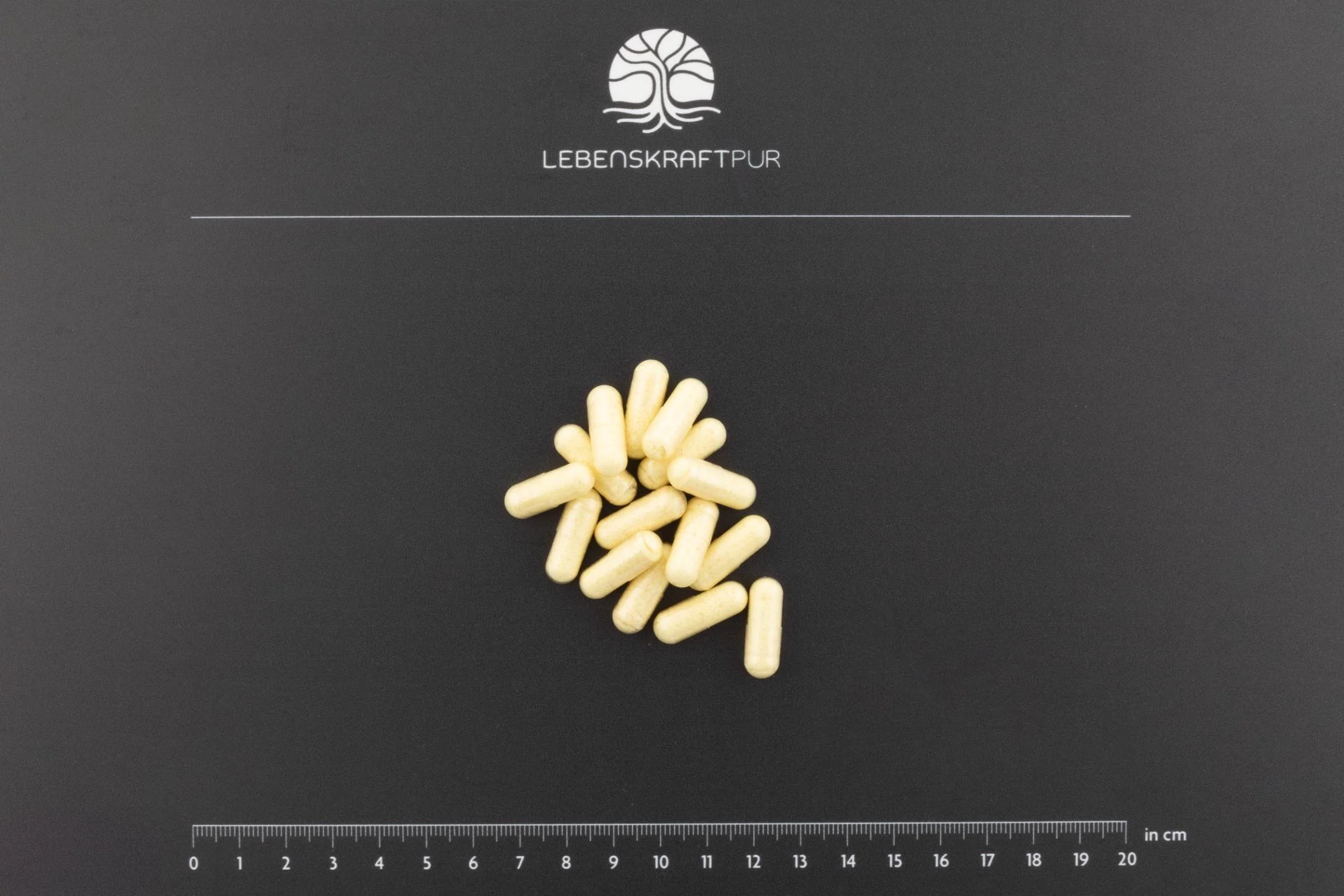 R-Alpha-Liponsäure Plus Kapseln - Image 3