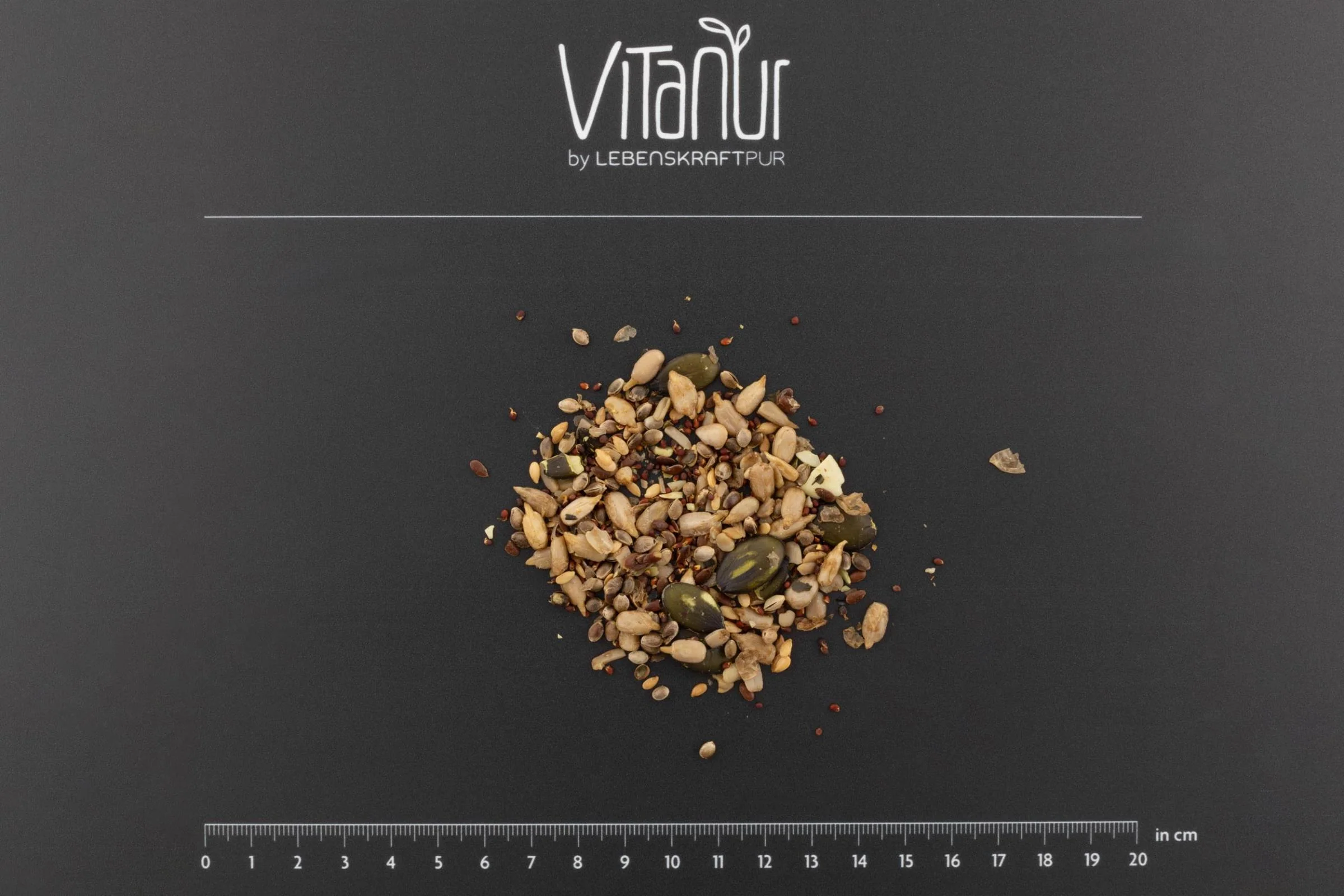Bio Salatkernmix Gekeimt - Image 3