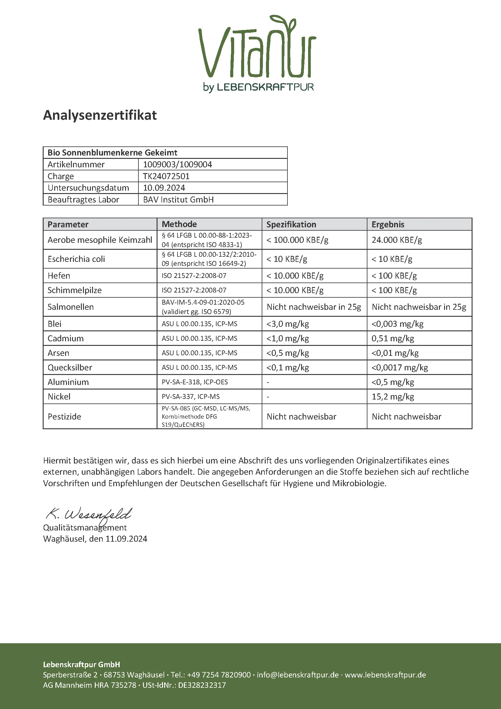 Bio Sonnenblumenkerne Gekeimt - Image 5