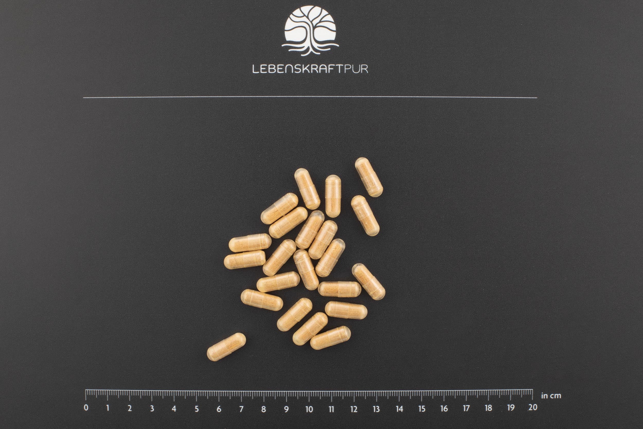 Spermidin Plus Kapseln - Image 4