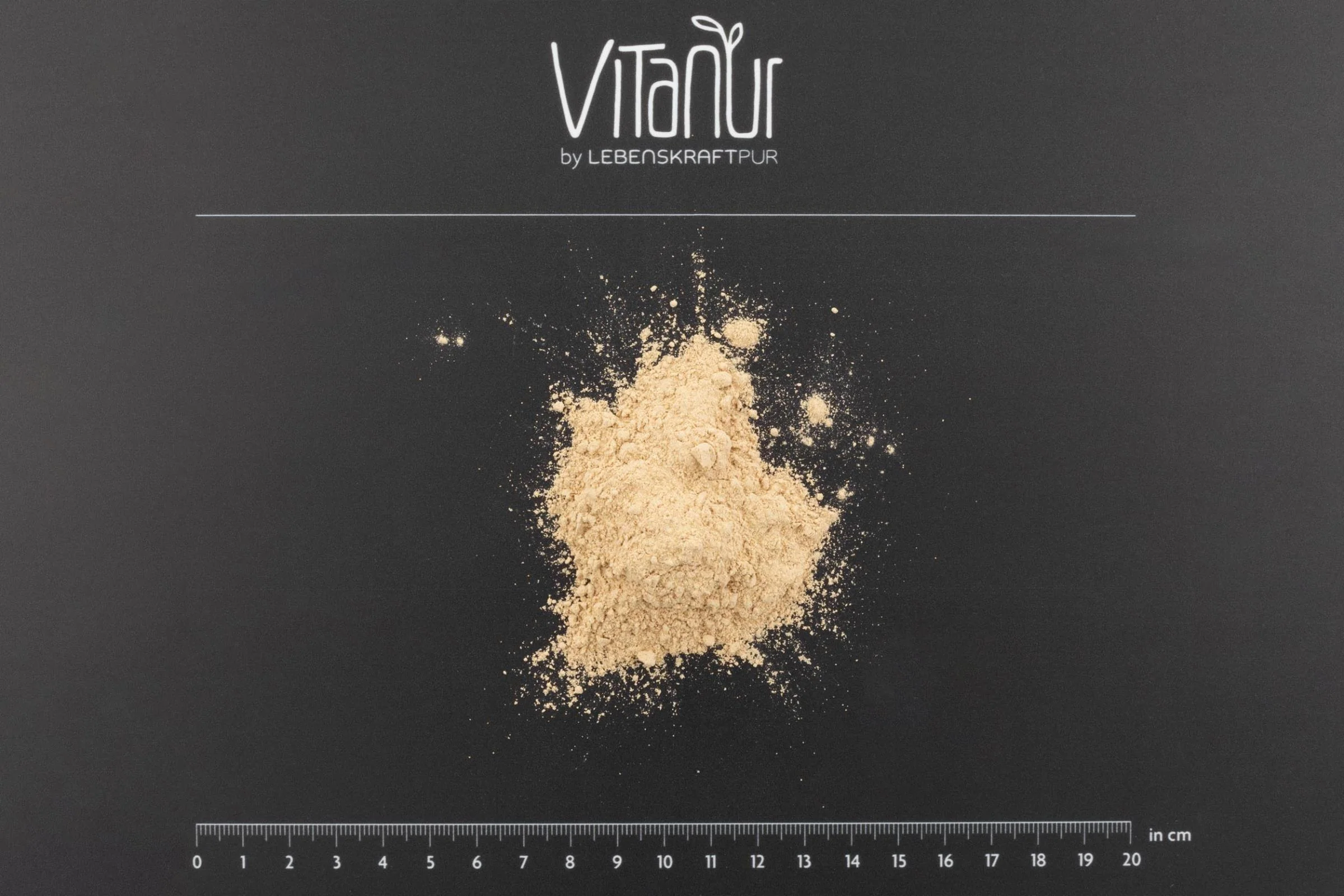 Bio Protein Vegan Pulver - Image 3
