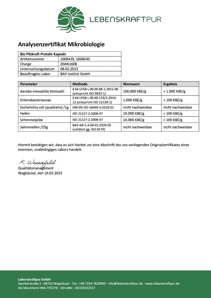 Bio Pilzkraft Protekt Kapseln - Image 5