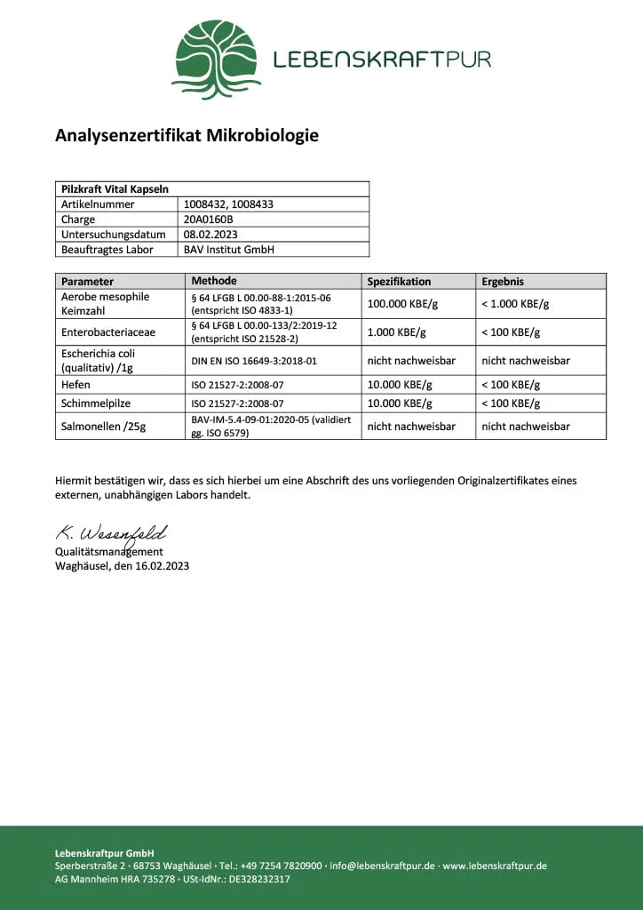 Pilzkraft Vital Kapseln - Image 3