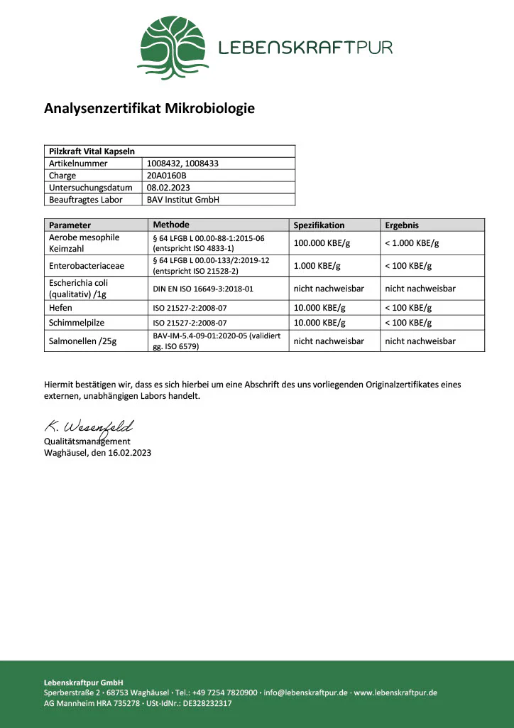 Pilzkraft Vital Kapseln - Image 4