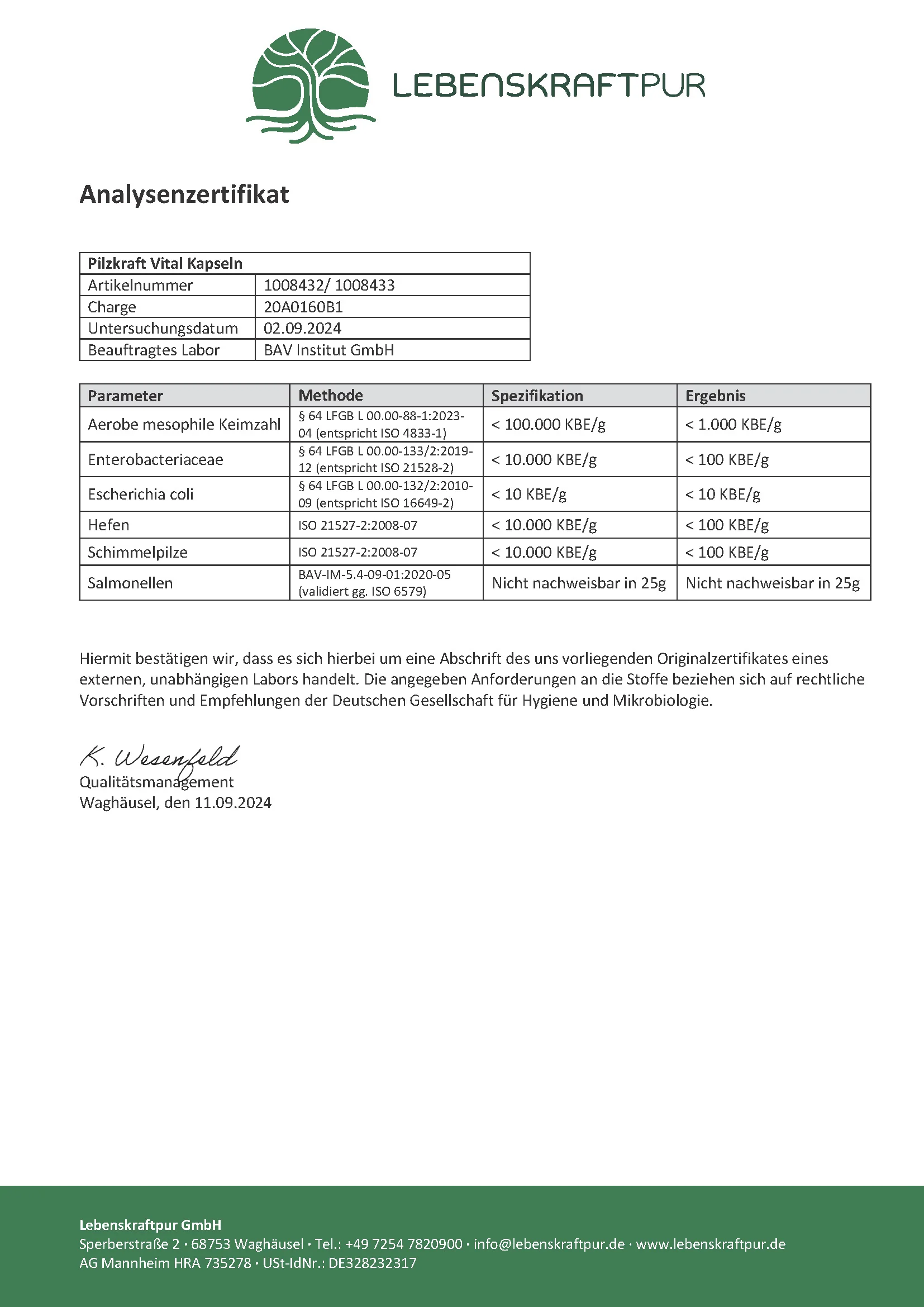 Pilzkraft Vital Kapseln - Image 5