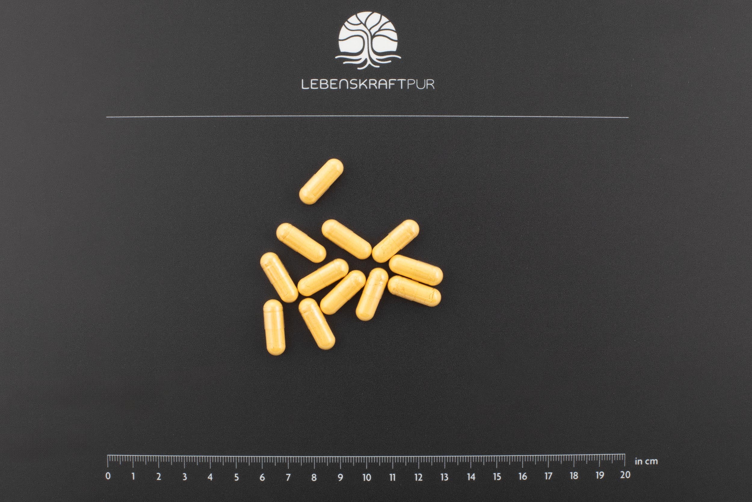 Vitamin B Komplex Kapseln - Image 3