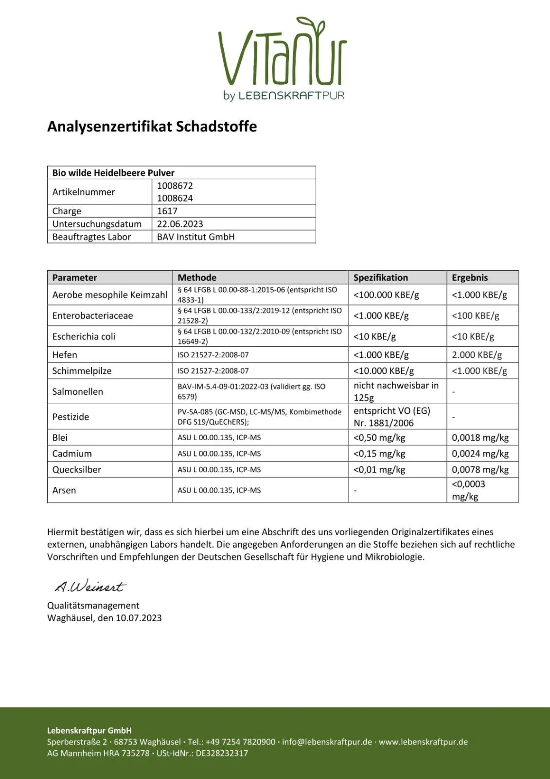 Bio Wilde Heidelbeere Pulver - Image 3