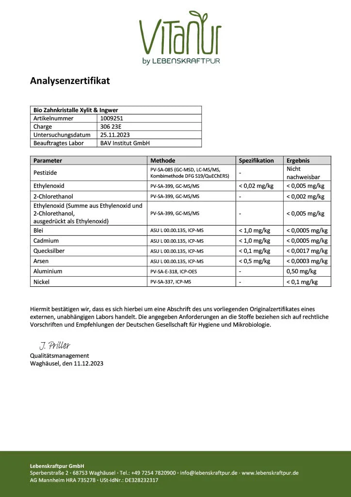 Zahnkristalle® Xylit & Ingwer - Image 4